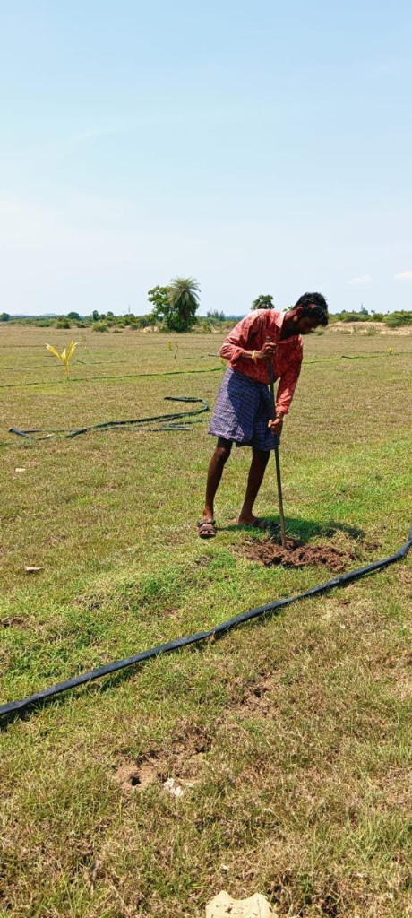 South Indian farmer working in the field