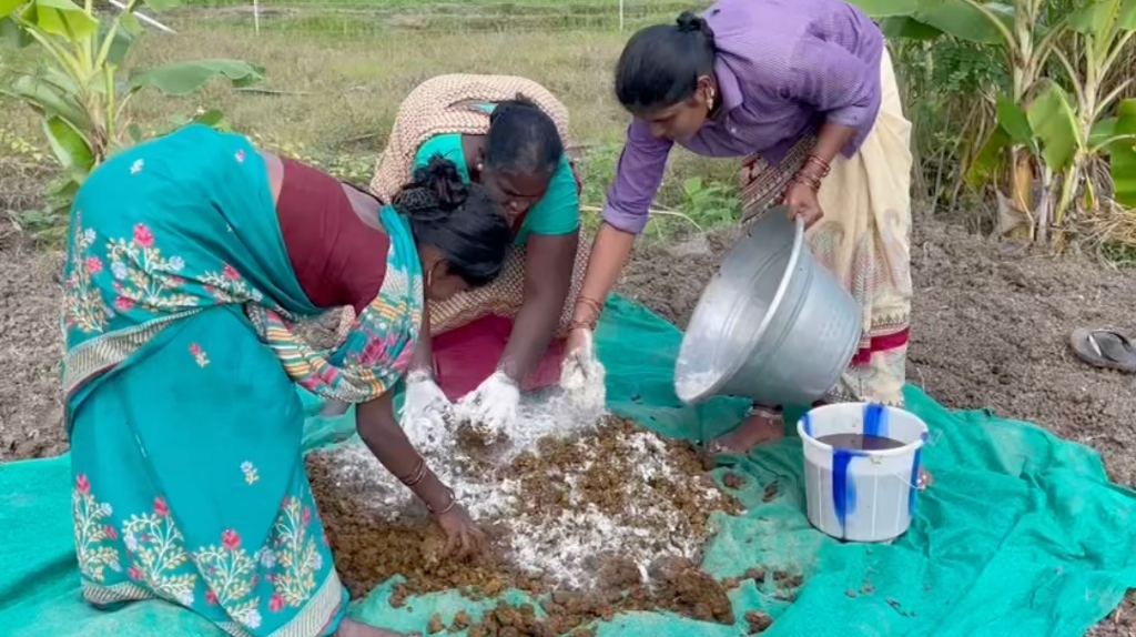 Field Collaboration Action