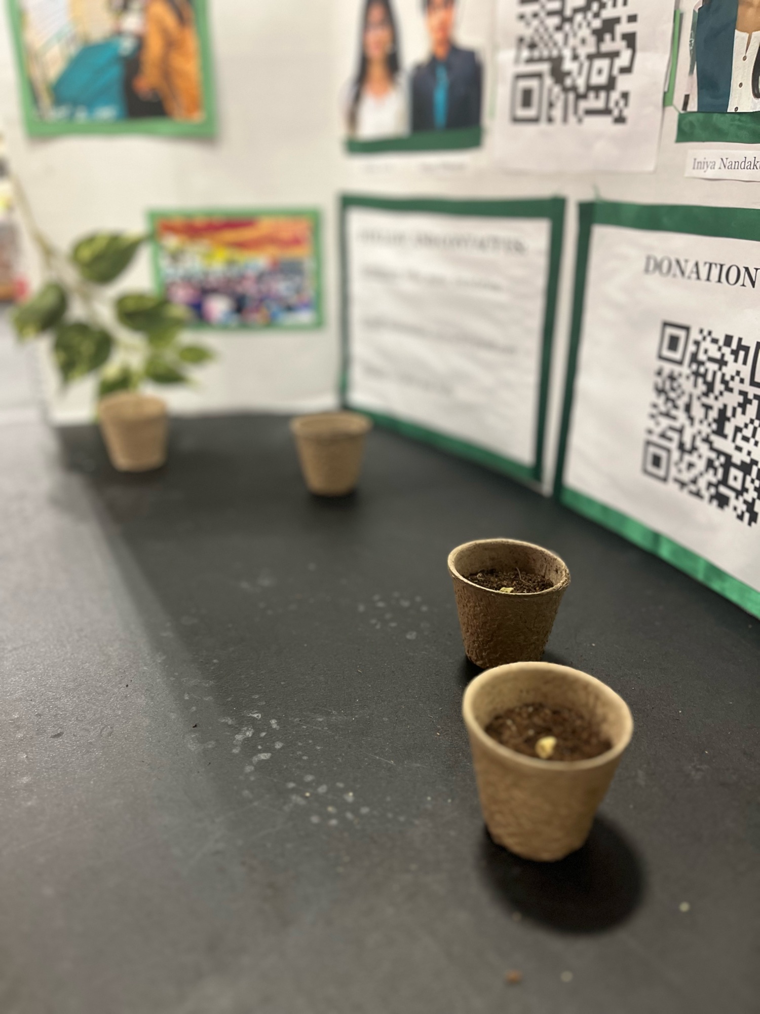 Biodegradable planting cups filled with soil, ready for seeds